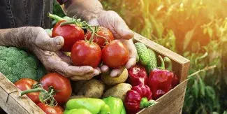 Beneficios de consumir alimentos de temporada
